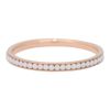Afbeeldingen van iXXXi Zirconia White stone