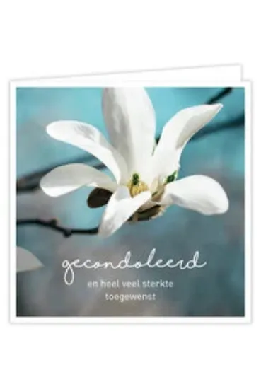 Afbeeldingen van GIVE X Gecondoleerd 